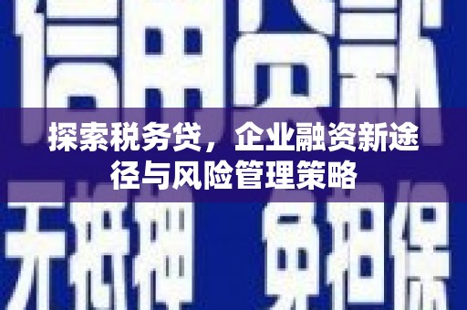 新会探索税务贷，企业融资新途径与风险管理策略