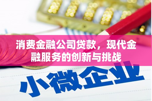 新会消费金融公司贷款，现代金融服务的创新与挑战