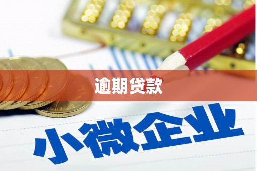 新会逾期贷款