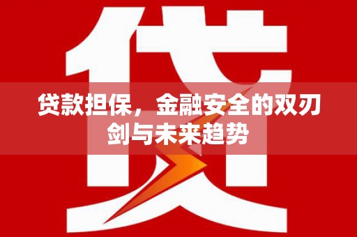新会贷款担保，金融安全的双刃剑与未来趋势