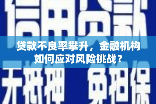 新会贷款不良率攀升，金融机构如何应对风险挑战？