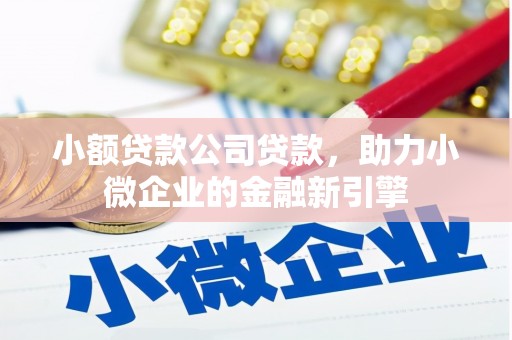 新会小额贷款公司贷款，助力小微企业的金融新引擎
