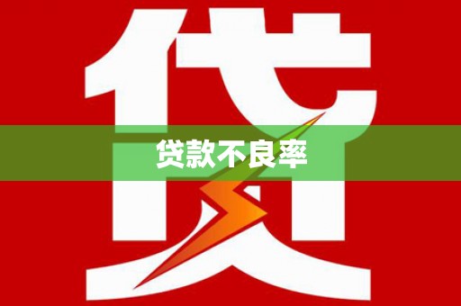 新会贷款不良率
