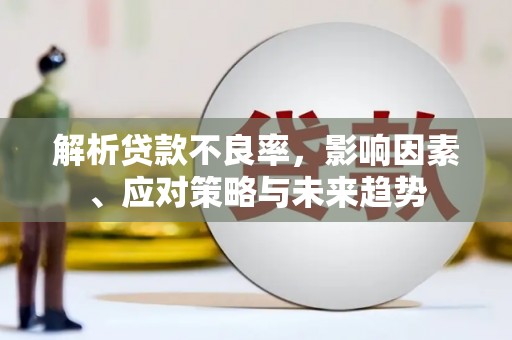 新会解析贷款不良率，影响因素、应对策略与未来趋势