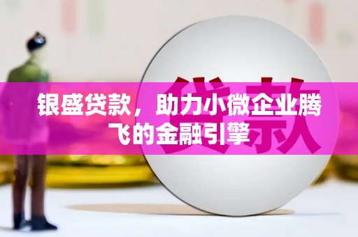 新会银盛贷款，助力小微企业腾飞的金融引擎