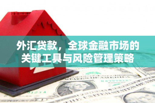 新会外汇贷款，全球金融市场的关键工具与风险管理策略