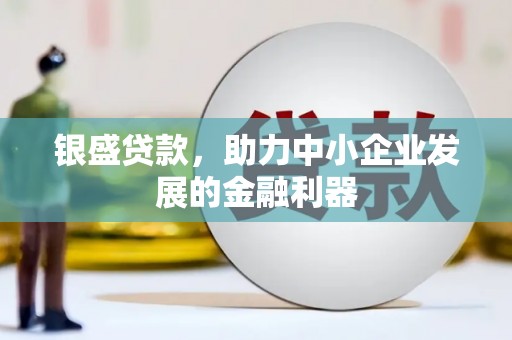 新会银盛贷款，助力中小企业发展的金融利器