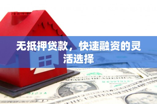 新会无抵押贷款，快速融资的灵活选择