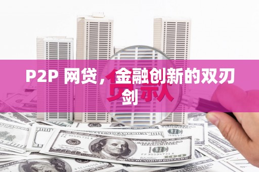 新会P2P 网贷，金融创新的双刃剑