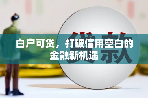 新会白户可贷，打破信用空白的金融新机遇