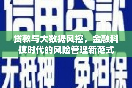 新会贷款与大数据风控，金融科技时代的风险管理新范式