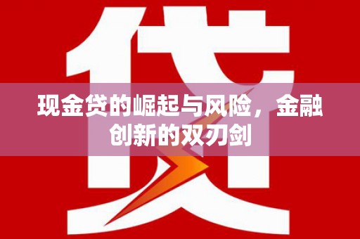 新会现金贷的崛起与风险，金融创新的双刃剑
