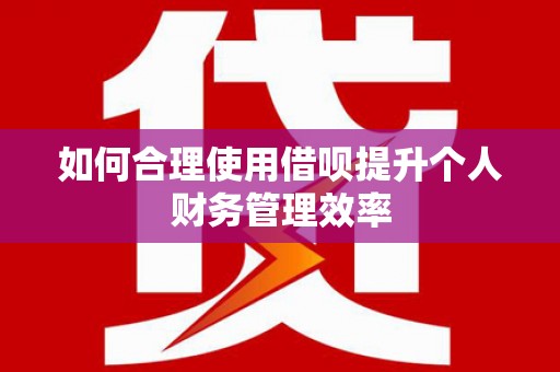 新会如何合理使用借呗提升个人财务管理效率