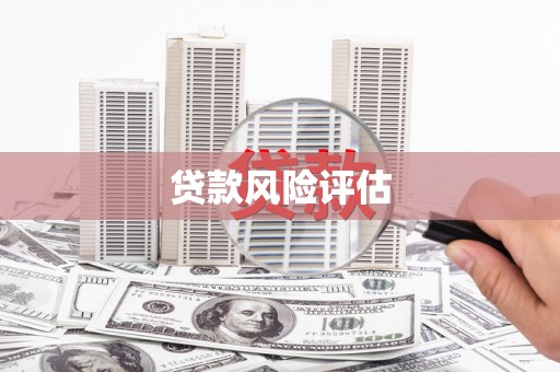 新会贷款风险评估