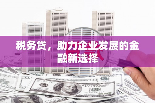 新会税务贷，助力企业发展的金融新选择