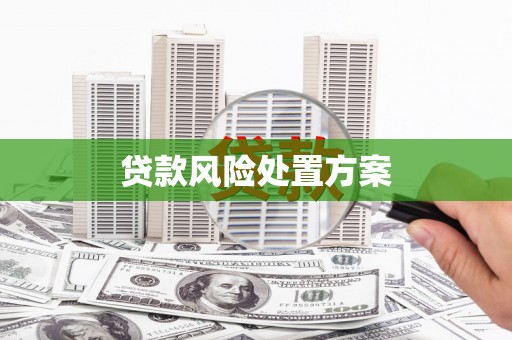 新会贷款风险处置方案