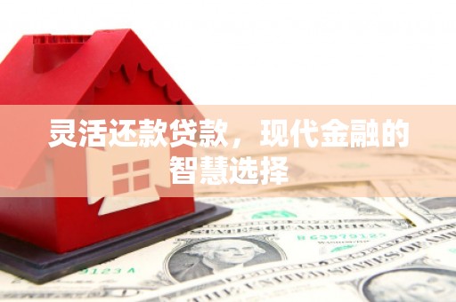 新会灵活还款贷款，现代金融的智慧选择
