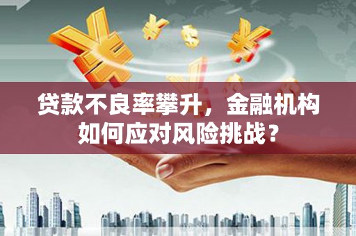 新会贷款不良率攀升，金融机构如何应对风险挑战？