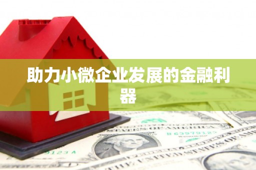 新会助力小微企业发展的金融利器