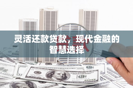新会灵活还款贷款，现代金融的智慧选择