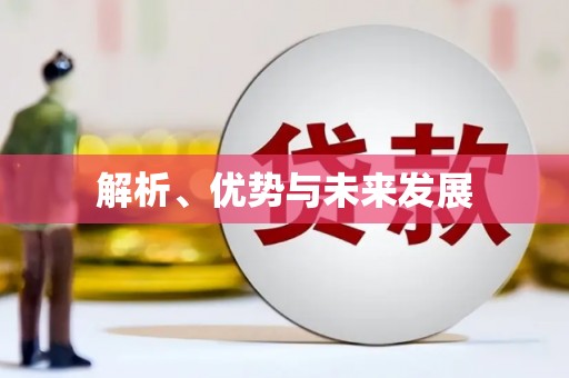 新会解析、优势与未来发展