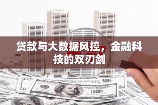 新会贷款与大数据风控，金融科技的双刃剑