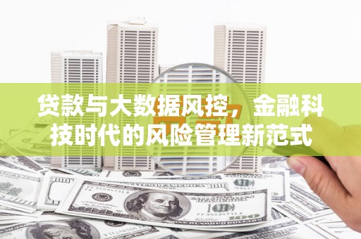 新会贷款与大数据风控，金融科技时代的风险管理新范式