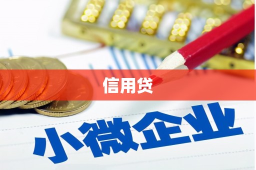 新会信用贷