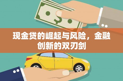 新会现金贷的崛起与风险，金融创新的双刃剑