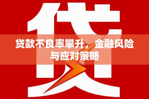 新会贷款不良率攀升，金融风险与应对策略