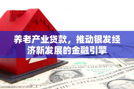 新会养老产业贷款，推动银发经济新发展的金融引擎