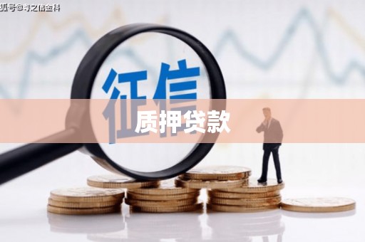 新会质押贷款