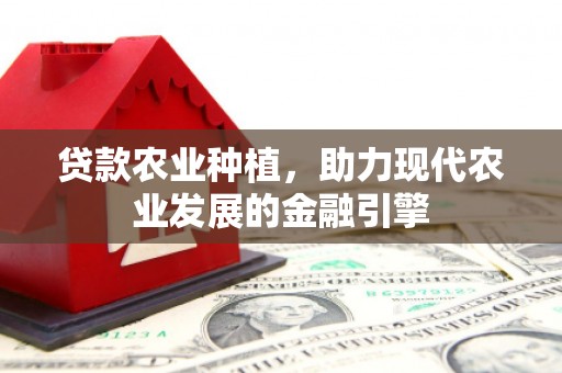 新会贷款农业种植，助力现代农业发展的金融引擎