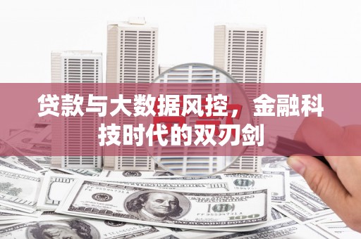 新会贷款与大数据风控，金融科技时代的双刃剑