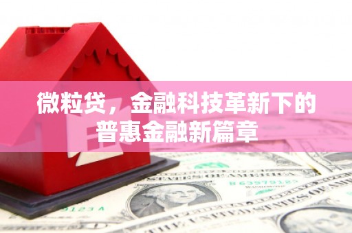 新会微粒贷，金融科技革新下的普惠金融新篇章