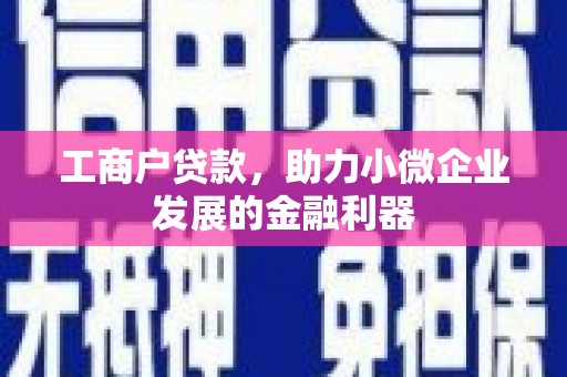 新会工商户贷款，助力小微企业发展的金融利器