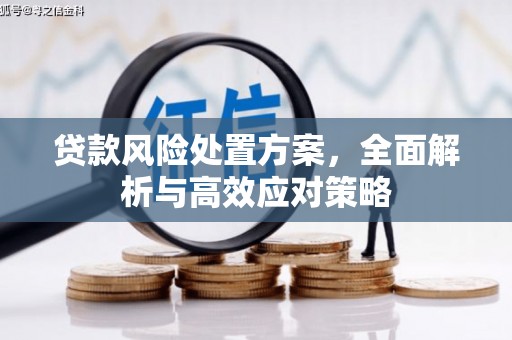 新会贷款风险处置方案，全面解析与高效应对策略