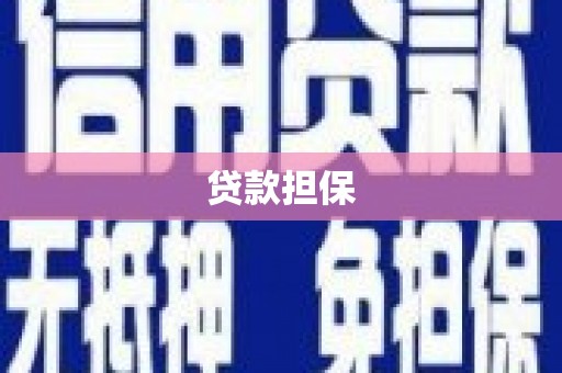 新会贷款担保