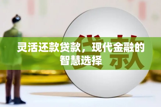 新会灵活还款贷款，现代金融的智慧选择