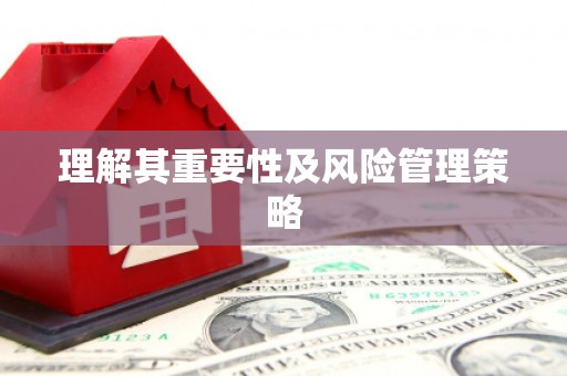 新会理解其重要性及风险管理策略