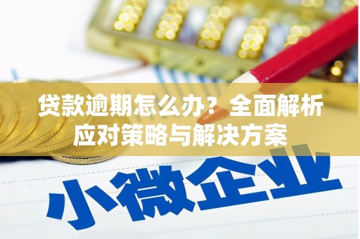 新会贷款逾期怎么办？全面解析应对策略与解决方案