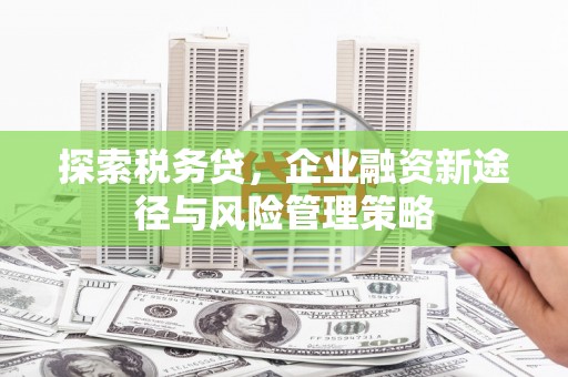 新会探索税务贷，企业融资新途径与风险管理策略