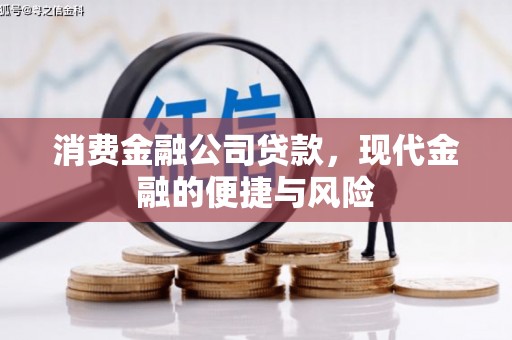 新会消费金融公司贷款，现代金融的便捷与风险
