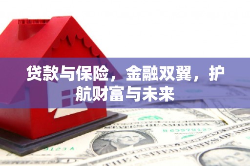 新会贷款与保险，金融双翼，护航财富与未来