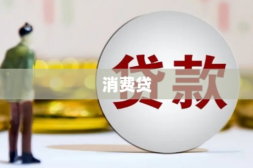 新会消费贷
