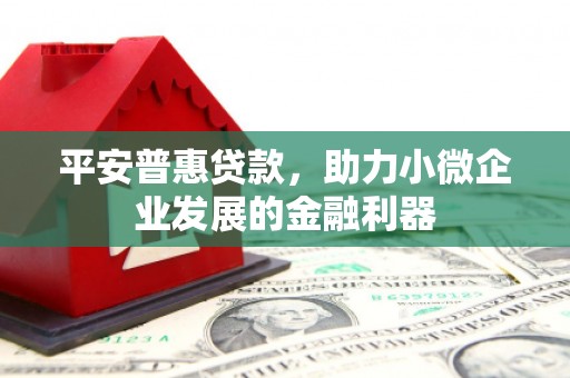 新会平安普惠贷款，助力小微企业发展的金融利器