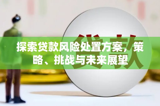 新会探索贷款风险处置方案，策略、挑战与未来展望