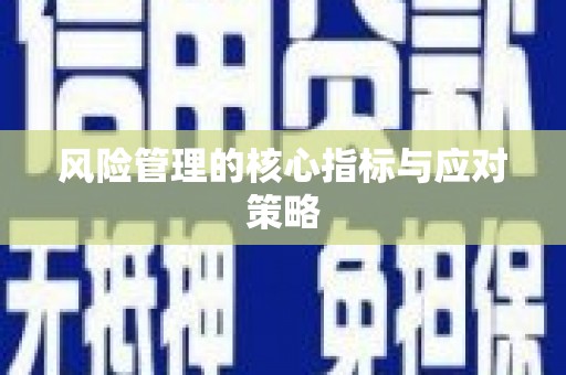 新会风险管理的核心指标与应对策略