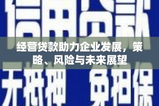 新会经营贷款助力企业发展，策略、风险与未来展望
