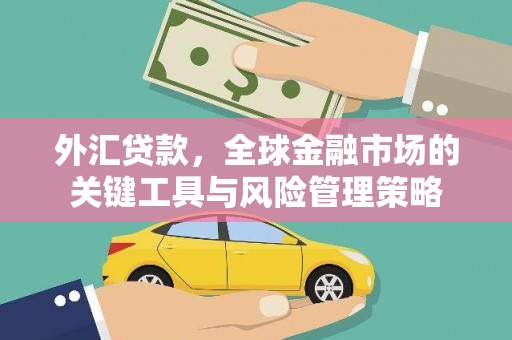 新会外汇贷款，全球金融市场的关键工具与风险管理策略